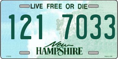 NH license plate 1217033