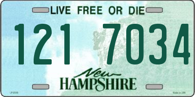 NH license plate 1217034