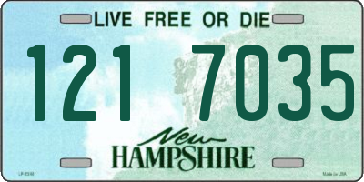 NH license plate 1217035