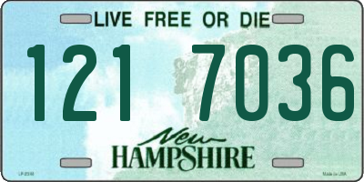 NH license plate 1217036