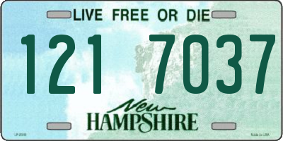 NH license plate 1217037