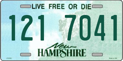 NH license plate 1217041