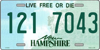 NH license plate 1217043