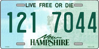 NH license plate 1217044