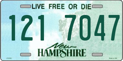 NH license plate 1217047