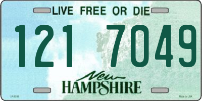 NH license plate 1217049