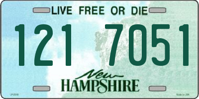 NH license plate 1217051