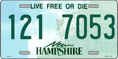 NH license plate 1217053