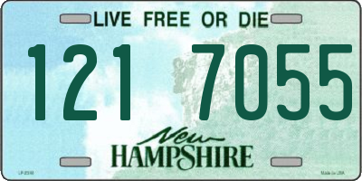 NH license plate 1217055