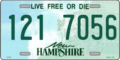 NH license plate 1217056