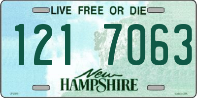 NH license plate 1217063