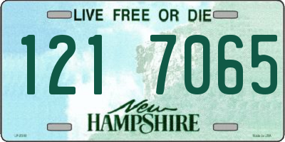NH license plate 1217065