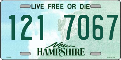 NH license plate 1217067
