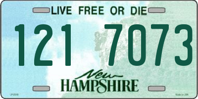 NH license plate 1217073