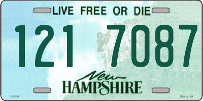 NH license plate 1217087