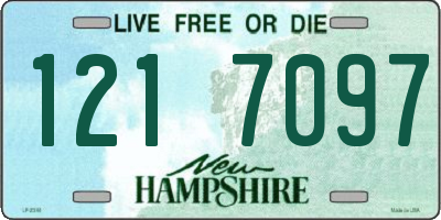 NH license plate 1217097