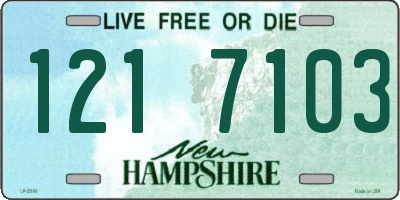 NH license plate 1217103