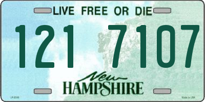 NH license plate 1217107