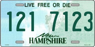 NH license plate 1217123