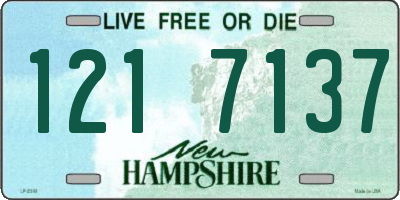 NH license plate 1217137