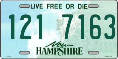 NH license plate 1217163