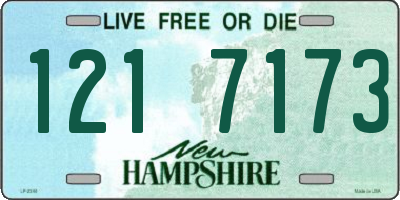 NH license plate 1217173