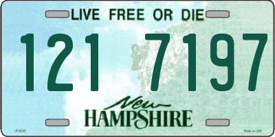 NH license plate 1217197