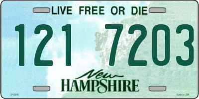 NH license plate 1217203