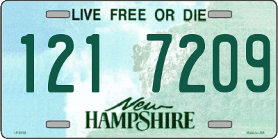 NH license plate 1217209