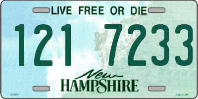 NH license plate 1217233