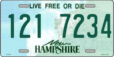 NH license plate 1217234