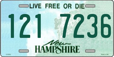 NH license plate 1217236