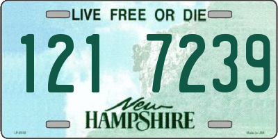 NH license plate 1217239