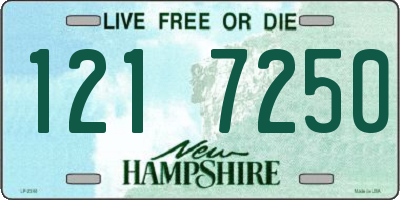 NH license plate 1217250
