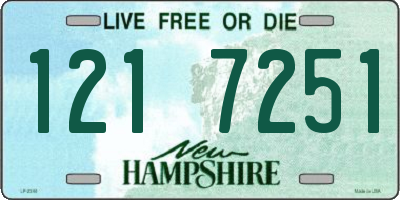 NH license plate 1217251