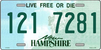 NH license plate 1217281