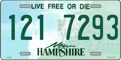 NH license plate 1217293