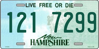 NH license plate 1217299