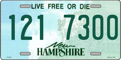 NH license plate 1217300