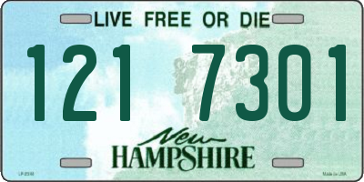 NH license plate 1217301