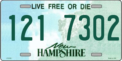 NH license plate 1217302