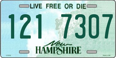 NH license plate 1217307