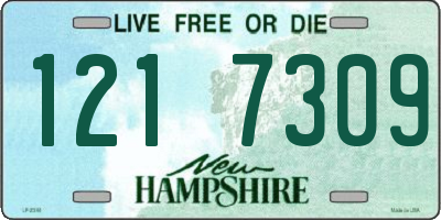 NH license plate 1217309