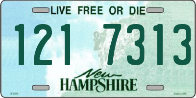 NH license plate 1217313