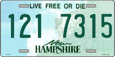 NH license plate 1217315