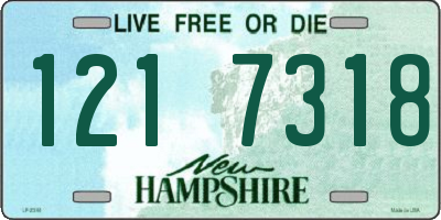 NH license plate 1217318