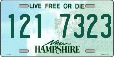 NH license plate 1217323