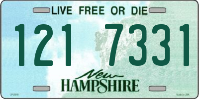 NH license plate 1217331