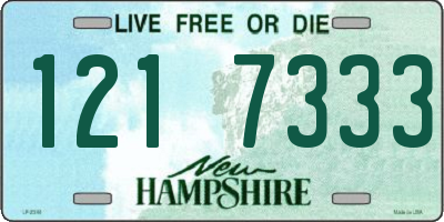 NH license plate 1217333