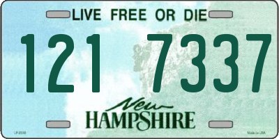 NH license plate 1217337